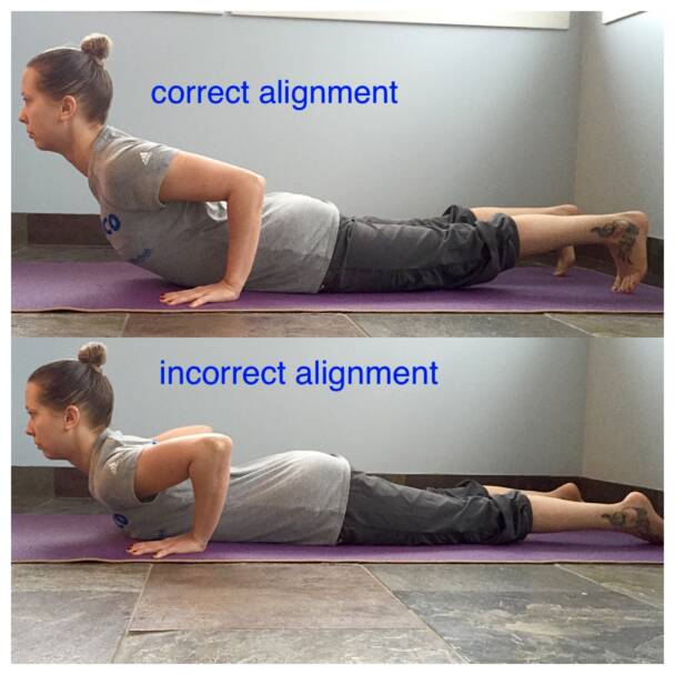 Cobra Pose Cobra Pose