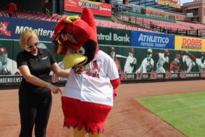 6-Stretches-to-Help-Cardinals-Fans-Keep-Cheering-Levator