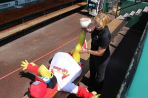 6-Stretches-to-Help-Cardinals-Fans-Keep-Cheering-hamstring